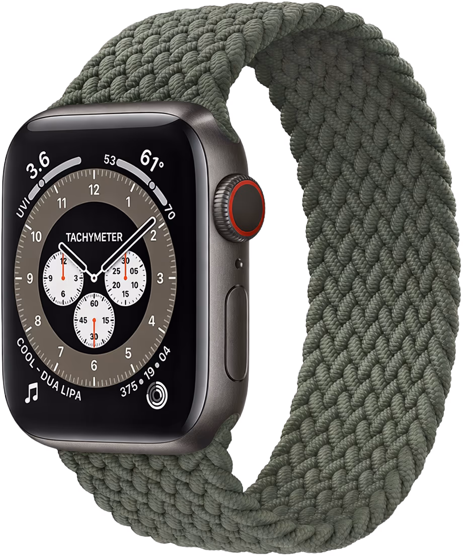 Apple Watch Edition Series 6 device