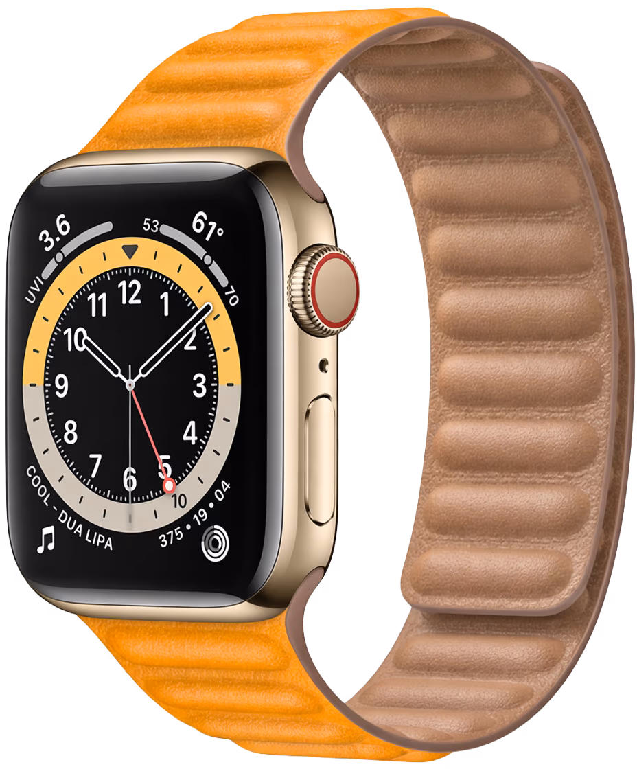 Apple Watch Series 6 device