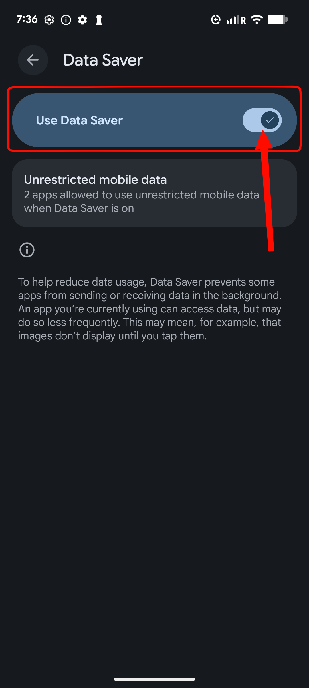 dataSaver