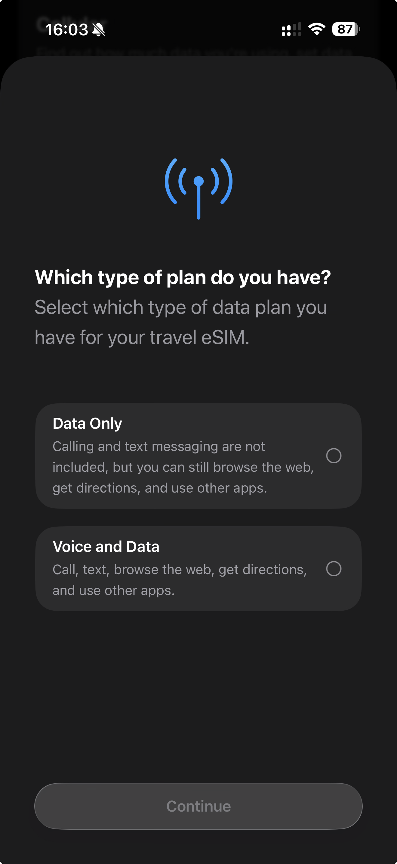 esimPlanType